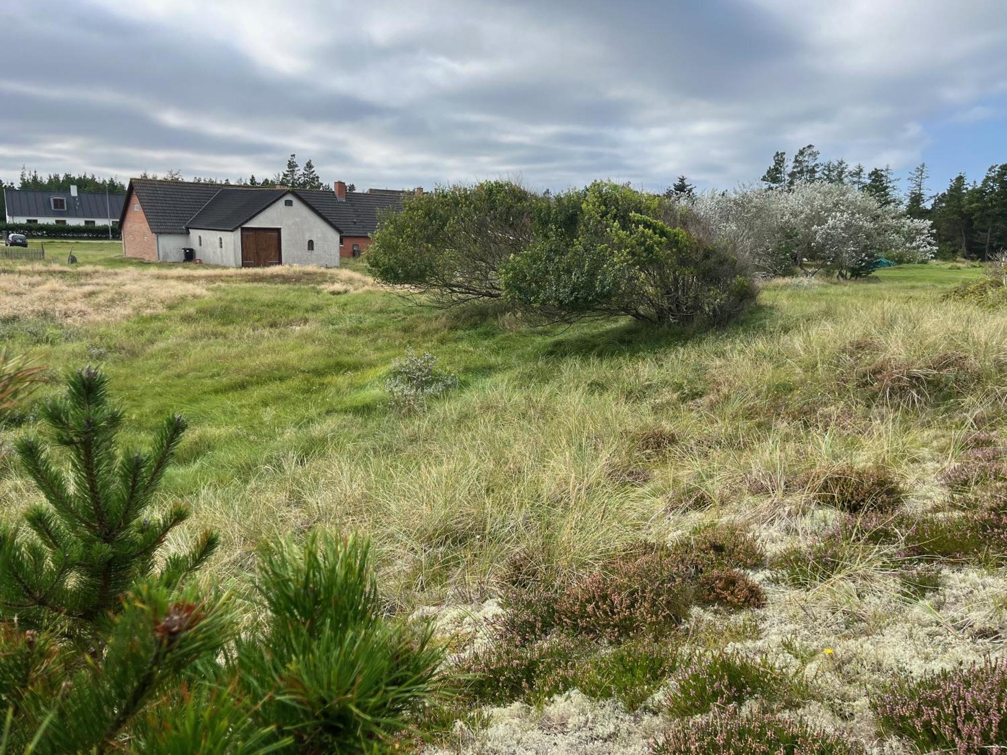 The Beach Farm - Charm, Beach And Stunning Nature Bedsted Thy Exterior photo