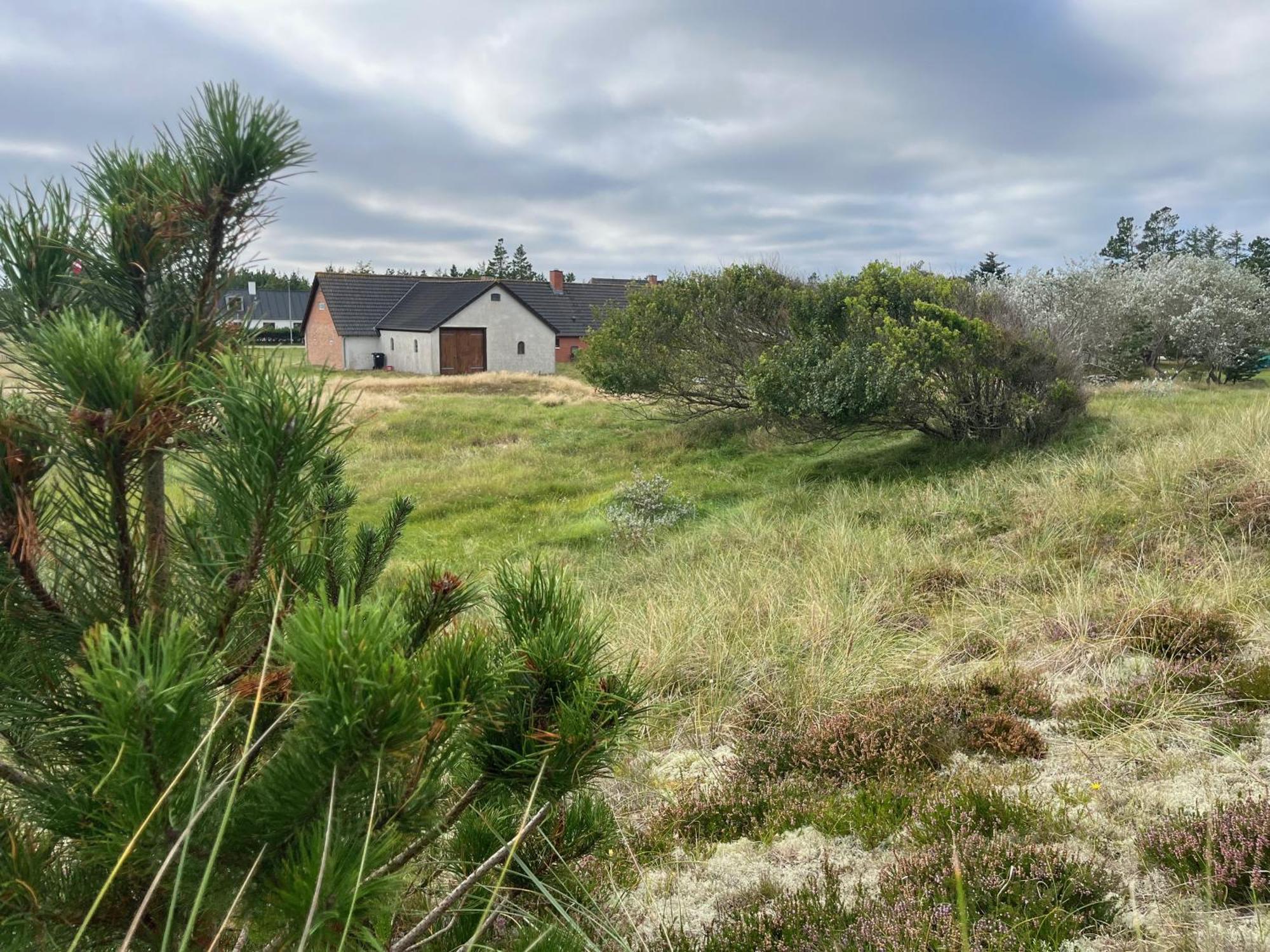 The Beach Farm - Charm, Beach And Stunning Nature Bedsted Thy Exterior photo